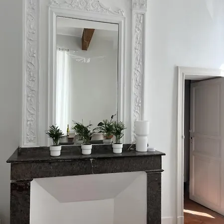 Renovation D'architecte Dans Le Coeur Historique De Apartment *
